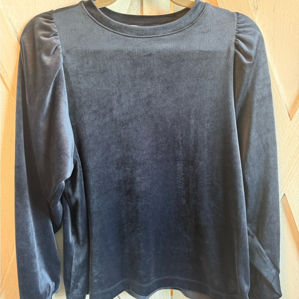 LOFT Blue Velvet Puff-Sleeve Sweatshirt